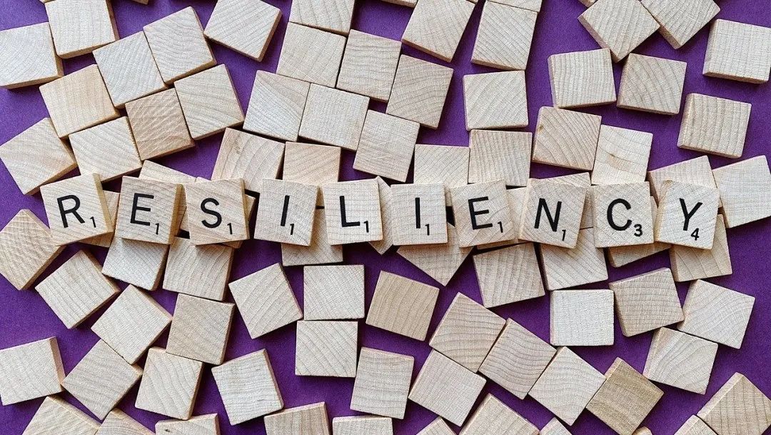 视频｜韩国采购商洪顺姬：西牛麻竹笋太好吃啦