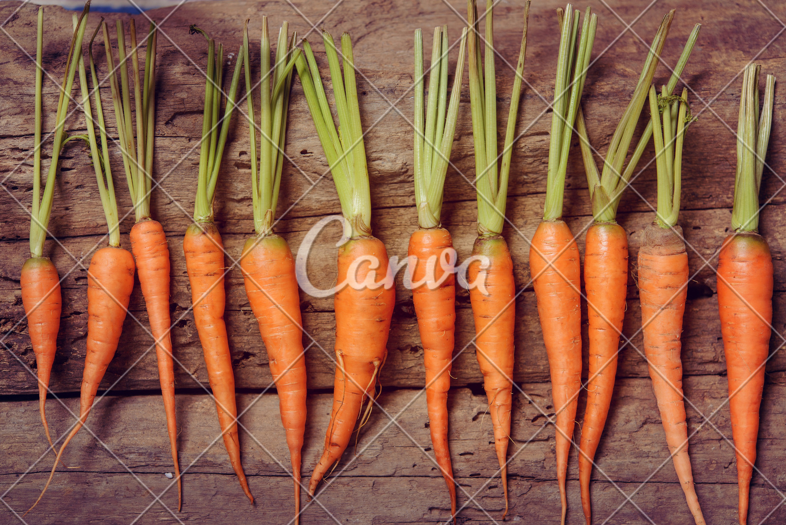 辽宁省市场监督管理局大力推进食品领域铁拳行动