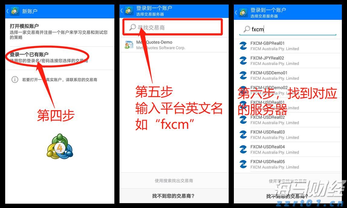 深耕创作沃土 讲好徐闻故事
