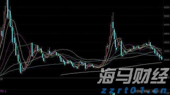 泰康人寿宣城中支重疾先赔保险金24万元