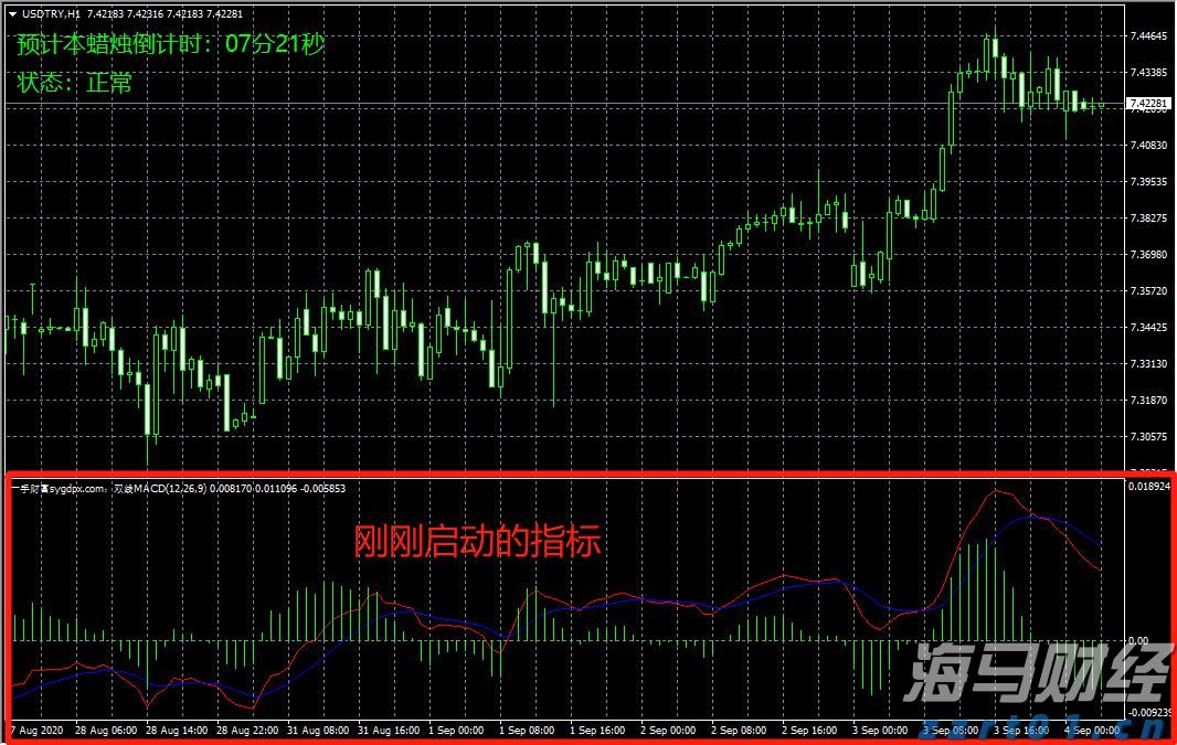 医我看｜被蚂蚁咬了别拖延！症状会延后 第一时间如何处理？