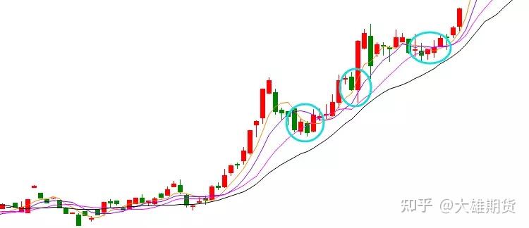遂溪杨柑召开典型村创建推进会 聚焦“百千万工程”绘就乡村振兴新图景