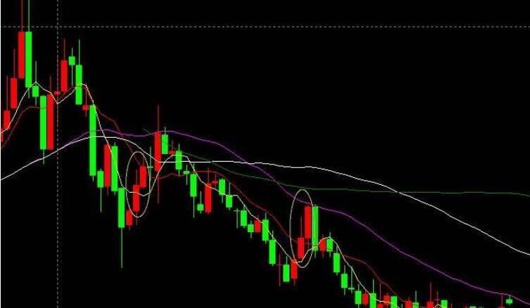 十部门联合发布促进农产品消费实施方案，助力外贸企业拓展内销渠道