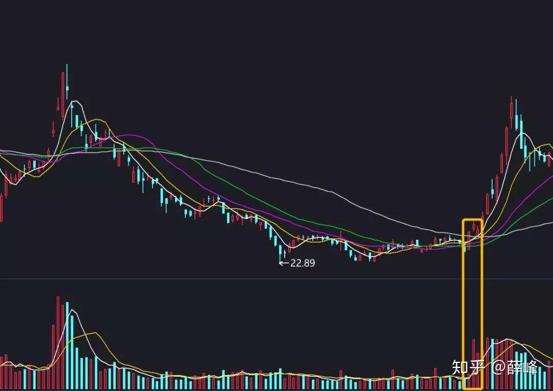 福建省19部门联合发文 进一步加大力度支持AEO企业高质量发展