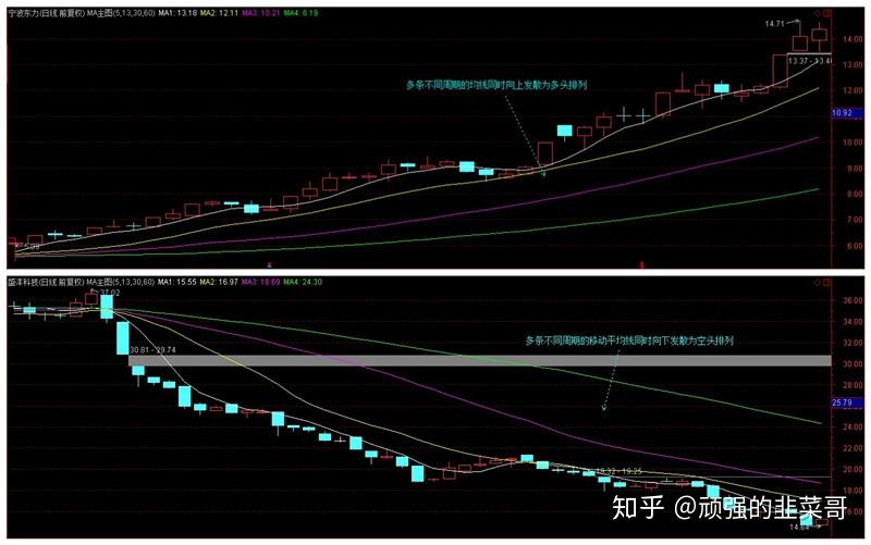 山东省市场监管局召开打击整治养老诈骗专项行动工作推进会