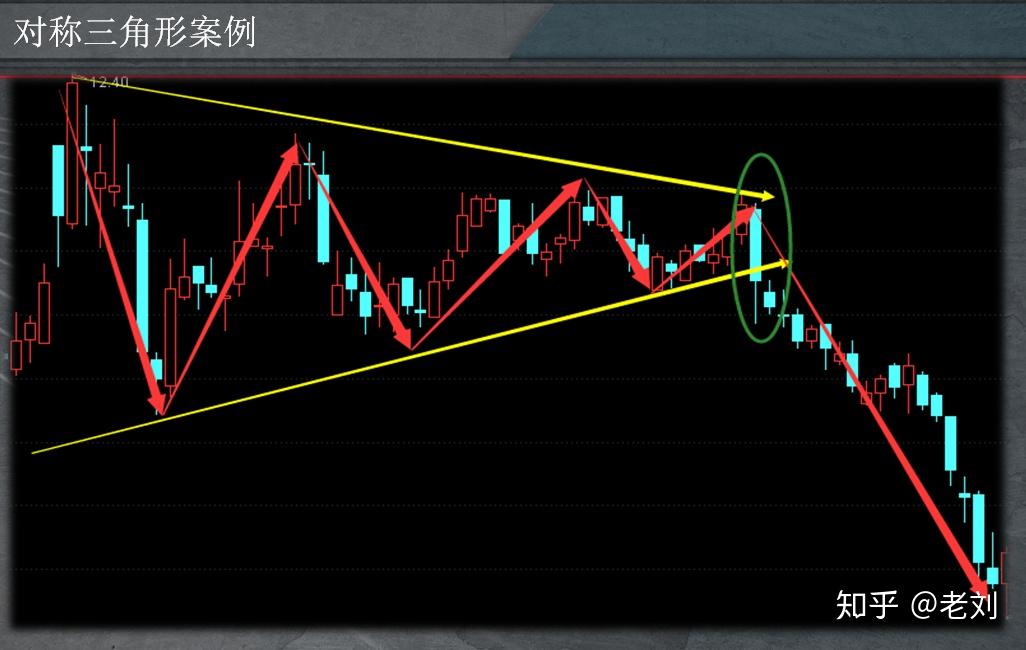 白羽鸡苗价格在一个月内上涨180%:是趋势逆转还是短暂现象?