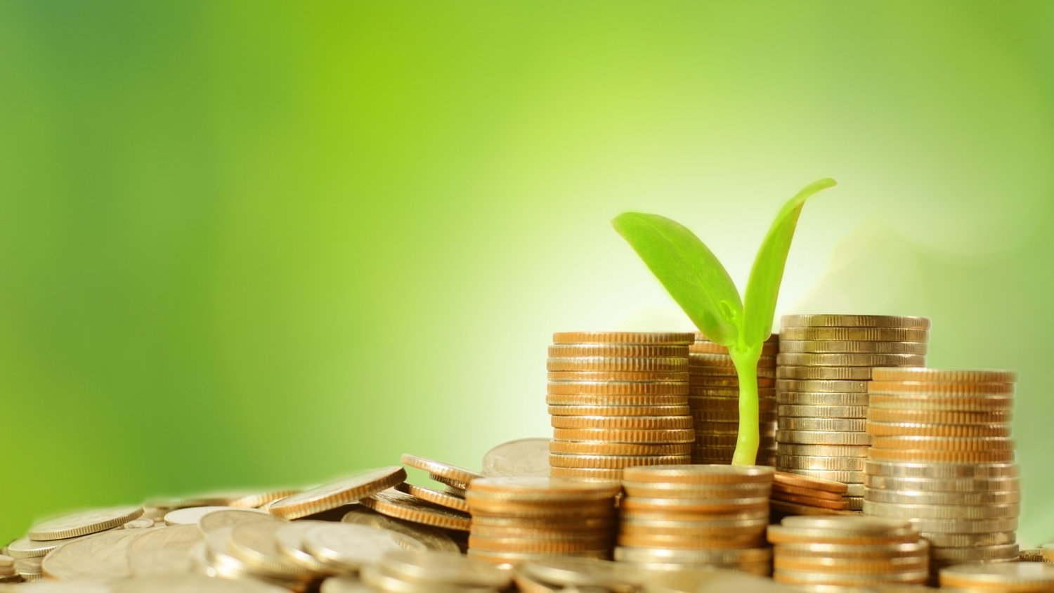 全程网办“不打烊”！保障上海开办企业“不断档”